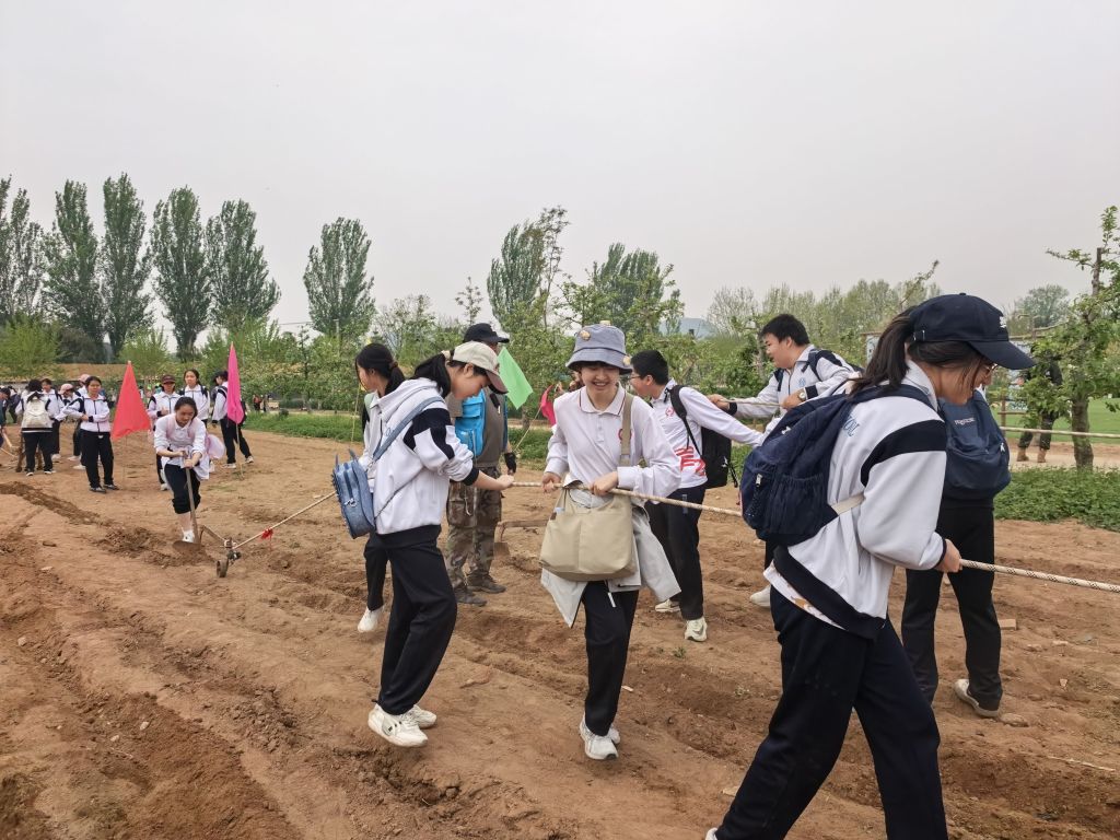 图片3 犁地.jpg