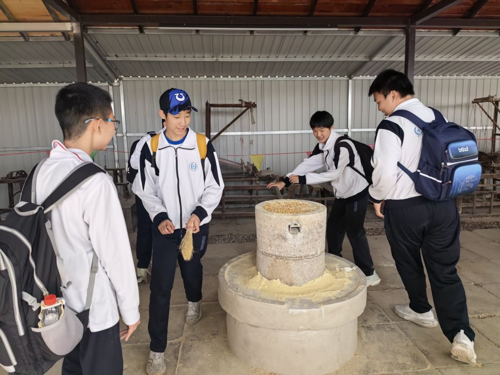 图片4 磨玉米面.jpg